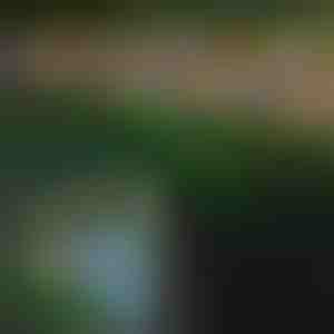 Āra saules gaismas taureņi | FLUTIX