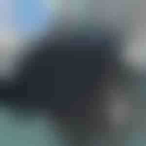 Par 360 grādiem rotējošs sēdekļa spilvens | SPINPAD