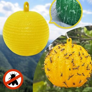 6 iepakojums piekaramo mušu slazdu | BUGIORB