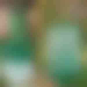 Atkārtoti lietojamas, piekaramās mušu un kukaiņu lamatas | INSECTA