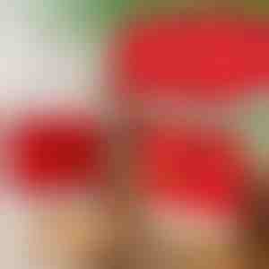 Ziemassvētku stila ēdamistabas krēslu pārvalki (4 gab.) | SANTASEAT