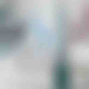 Tualetes birste ar iebūvētu tīrīšanas šķīduma dozatoru | FLUSHBRUSH