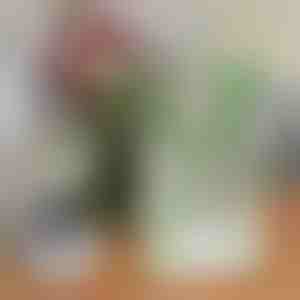 Šika grāmatas formas akrila vāze ziediem | FLOWERFRAME