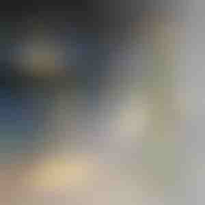 Ziemassvētku eglīšu dārza rotājums ar saules baterijām | TREELUSTOR