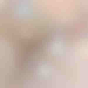 2 vienā bezvadu putekļsūcējs un mops | VACUSTICK