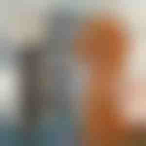 Mājdzīvnieku spalvu griešanas komplekts | GULAMACHINE