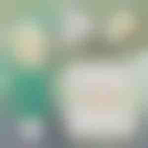 Instantā sienu remonta risinājums | WALLFIX