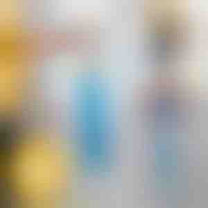 Gara putekļu slaucīšanas birste | DUSTOFF