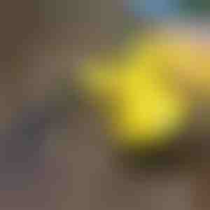 Dezinfekcijas tvaika tīrītājs | VAPERO