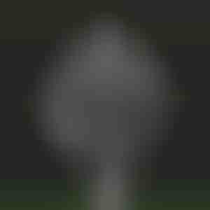 Dārza burvju kinētiskais vējdzirnaviņas | WINDARA