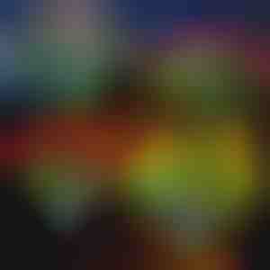 Saules ziedu apgaismojums | ROSILUME