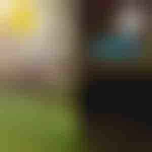 Saules tropiskās dārza lampas | LUMIPALM