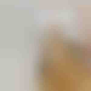 Uzlādējama smidzināšanas suka mājdzīvnieku spalvai | GROOMSY