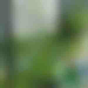 Mākslīgās zāles flīzes dekoram (5 gab.) | GRASSTILE