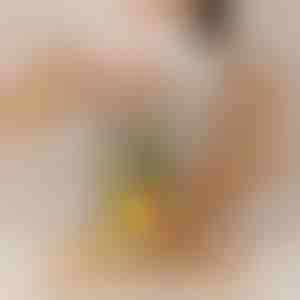 Ananāsu griezējs, kas darbojas bez piepūles | PINECUT