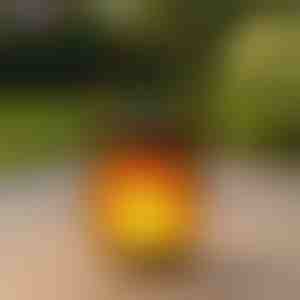 Saules laternas ar degošas liesmas efektu | FLAMLUX