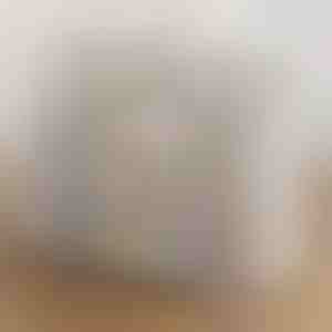 Caurspīdīgs sakraujams apavu glabāšanas konteiners | DURASTOR