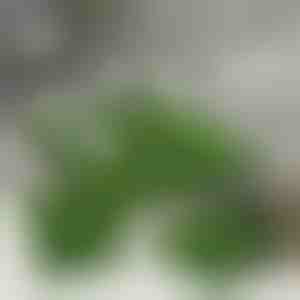 Mākslīgās zāles flīzes dekoram (5 gab.) | GRASSTILE