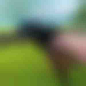 Izturīgs kabeļu savilču instruments | ZIPFLEX